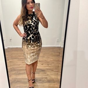 Calvin Klein Animal Print Ombre dress